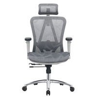 Chaise de Direction Moderne Ergonomique Pivotante en Maille Réglable avec Accoudoirs 3D pour Bureau à Domicile, École et Atelier