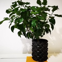 Pot d'élagage à air, à croissance rapide, 3 l, 1 tonne