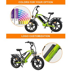 QUEENE/Fat Tire <span class=keywords><strong>20</strong></span> <span class=keywords><strong>pouces</strong></span> Step Thru suspension complète Ebike neige 500W enfants vélo électrique batterie cachée enfants vélo électrique - Product Image 4