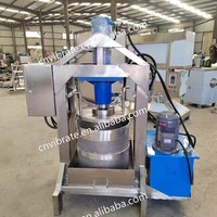 VBJX Commerciële Industriële Zware Kwaliteit RVS Grote Capaciteit Appel Ananas Koudpers Sapcentrifuge Persmachine