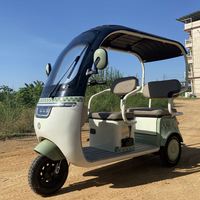 Best Price LED Electric Trimotos for the Passenger Adult Digital 60V 2 Seater Electric 3 Wheel Bicycle Open 800W