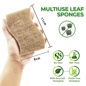 Nuova Spugna Per La Pulizia Dei Piatti Da Cucina Ecologica, spugna Bianca Per La Pulizia Della Casa In Fibra Di Cocco - Product Image 2