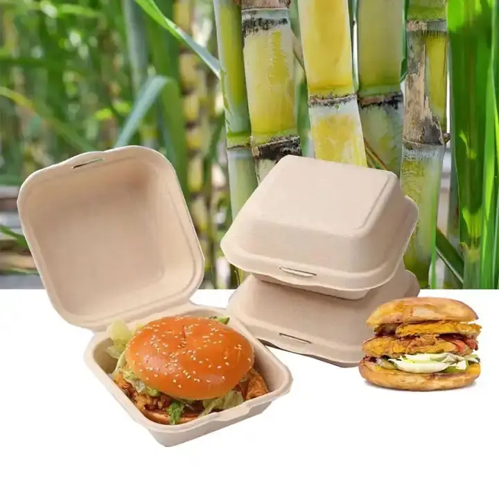 Boîte d'emballage biodégradable d'hamburger de bagasse de canne à sucre