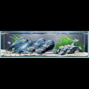 Aquarium en verre rectangulaire ultra-transparent sur mesure - Aménagement paysager écologique pour bureau - Product Image 4