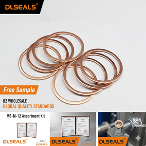 DLSEALS Sampel Gratis M6-M12 Kit Asortimen Washer Tembaga Konduktif untuk Penyegelan Listrik pada Generator - Product Image 2