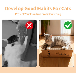 Krabpaal, 4 stuks in 1 kartonnen doos, krabplank voor binnenkatten en kittens, krabplank om meubels te beschermen - Product Image 6