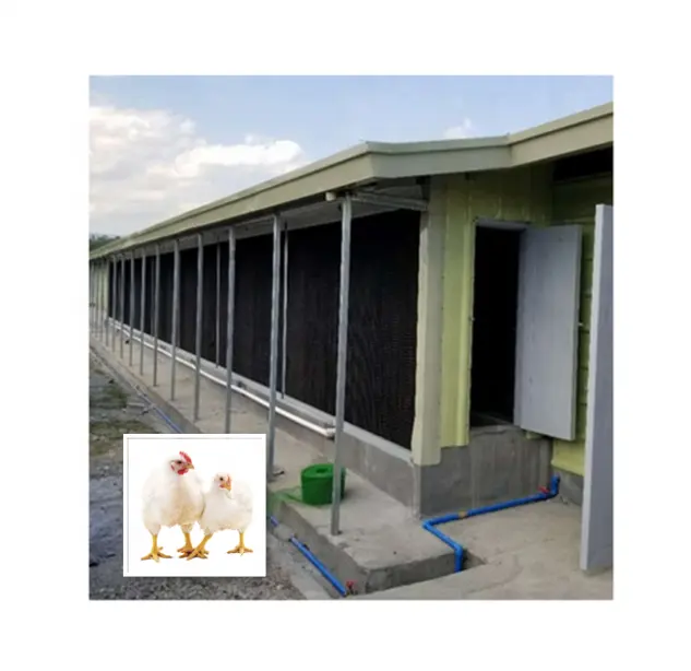 Equipamento de animais e de aves marido cortina de resfriamento molhado para sistema de resfriamento greenhouse