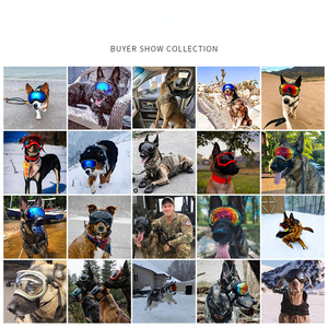 Profesyonel Pet gözlük köpek güneş gözlüğü gözlük köpek kayak gözlüğü UV koruma Pet güneş gözlüğü ile ayarlanabilir kayış - Product Image 5