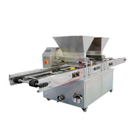 Double trémie dépôt De pâte gâteau et ligne en forme De Biscuit croustillant Machine De Fabrication De biscuits