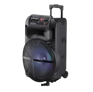 portable outdoor party speaker 15inch woofer loud speaker pas system