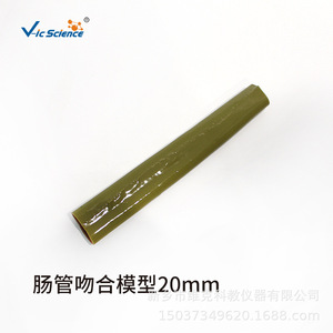 Modèles d'anastomose intestinale de 30 mm et 20 mm - Product Image 2