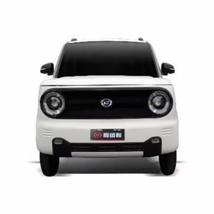 Nuevo Panda Mini EV con Autonomía de <100 km, Mini Auto Eléctrico para Adultos, Batería de Litio Ferrofosfato, Velocidad Máxima de 100 km/h, FSL S5 - Product Image 1