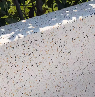 Peinture pour pierre véritable résistante aux intempéries, finition à grain de sable naturel, revêtement mural extérieur anti-moisissure pour façade de villa
