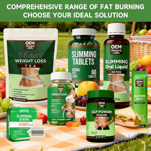 Tiras Adelgazantes de 14 Días de Fábrica OEM ODM, Extracto de Té Verde, Supresor del Apetito, Apoya la Recuperación Muscular - Product Image 2