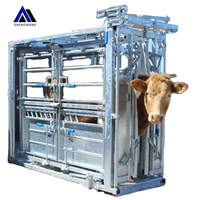 Chute d'encastrement robuste en acier pour bétail, haute qualité, vente chaude, pour enclos de bétail, à vendre