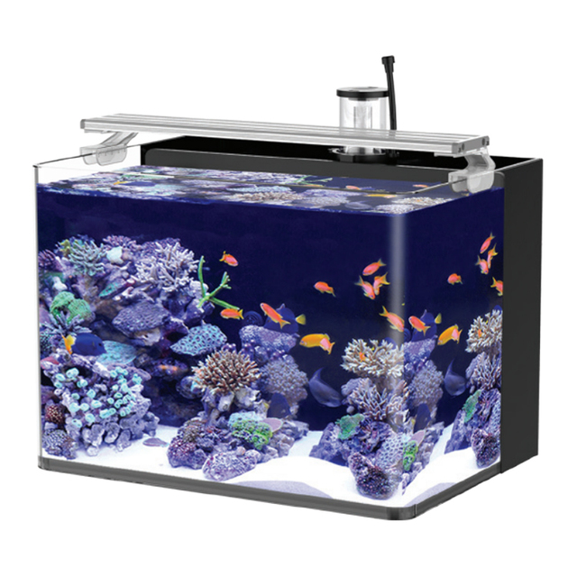 skynuo Table Curved Saltwater Marine Fish Tank Aquarium Fish Tank for Living Room Bedroom Office with Lighting Tabletop