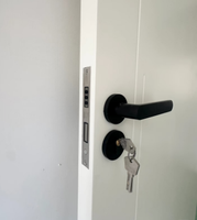 Porte intérieure Evereco neuve, de haute qualité, à bas prix, en bois massif peint, moderne, imperméable, insonorisée, pour chambre, appartement, hôtel, garantie 5 ans