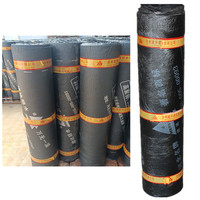 Membrane d'étanchéité en polyester écologique bitumineuse SBS à fusion à chaud pour la construction de toitures