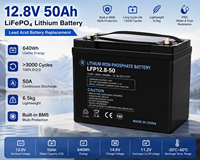 Batterie LiFePO4 50Ah 12.8V pour l'électronique des bateaux de pêche, les systèmes de sondeur de poissons, GPS, éclairage marin et systèmes de communication