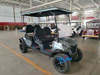 Voiturette de golf Fabricant de voiture de golf Remise Prix bas Couleur personnalisée Design populaire Buggy de golf électrique Voiture classique chinoise Plage hors route