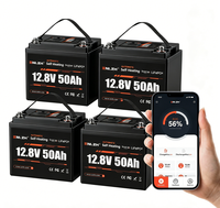 Batterie au lithium Enlzh 12,8 V 50 Ah auto-chauffante pour stockage d'énergie solaire, Bluetooth en option pour système d'énergie solaire