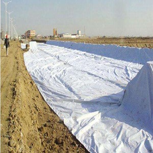 Géotextile Typar pour projet de construction routière - Product Image 4