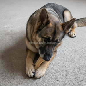 Racine en gros mâche pour les chiens, empêche la mastication destructrice, jouets à mâcher durables durables, fabricant du Vietnam, ODM, quantité minimale de commande bas - Product Image 1