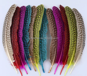 Pluma <span class=keywords><strong>de</strong></span> Gallo <span class=keywords><strong>de</strong></span> Guinea Teñida <span class=keywords><strong>de</strong></span> Alta Calidad, <span class=keywords><strong>de</strong></span> 15-20 cm, Precio <span class=keywords><strong>de</strong></span> Ganga Profesional, <span class=keywords><strong>Venta</strong></span> al por Mayor <span class=keywords><strong>de</strong></span> Fábrica - Product Image 4
