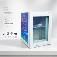 Mini-congélateur vertical Meisda SD21 de 21 L en acier inoxydable pour bâtonnets de crème glacée et sucettes glacées, idéal pour la maison et l'hôtellerie