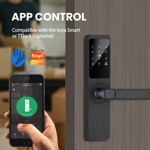 מנעול חכם של טויה עם טביעת אצבע, מקלדת וקוד, ללא מפתח, לבית ולדירה, מנעול דיגיטלי לדלת - Product Image 4