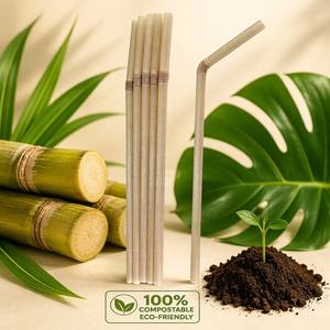 Pajitas Flexibles Biodegradables <span class=keywords><strong>de</strong></span> Bagazo <span class=keywords><strong>de</strong></span> Caña <span class=keywords><strong>de</strong></span> Azúcar |   Pajitas Compostables Ecológicas Libres <span class=keywords><strong>de</strong></span> PLA para Café, Restaurante, Bar - Product Image 4