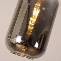 Lustre de plafond en verre gris fumé pour hôtel maison contemporaine E27 lampe suspendue en verre à manger en métal doré luminaire créatif