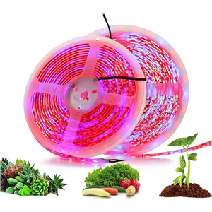 Tira de LED de Doble Espectro de 12V para Cultivo, 660nm 450nm 5050 SMD 60LEDs/M, Flexible e Impermeable, para Tomates Cherry y Pimientos - Product Image 3