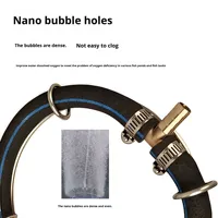 Diffuseur d'air en acier inoxydable/nanotubes pour bassin, anneau d'aération micro-nano, pierre à air pour poissons et crevettes