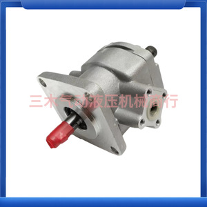 Bomba de Engranajes HGP 2A F2R F3R F4R F6R F8R F9R F12R 4B GPY 11.5R de Hierro Fundido Horizontal de Una Etapa con Accionamiento Eléctrico - Product Image 4