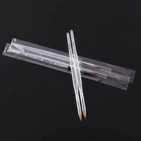 Pinceau professionnel pour la peinture d'art des ongles en poils de sable de Kolinsky de qualité supérieure, rond et ovale, manche en acrylique transparent, stylo pour l'art des ongles