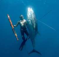 Tête de lance de pêche sous-marine à rouleaux Libenli en promotion usine pour équipement de pêche sous-marine