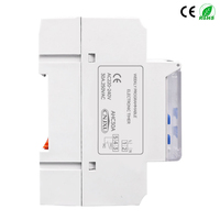 Interruptor de Tiempo Digital Programable Semanal de 7 Días, Monofásico, para Riel DIN, 1NO 1NC, Relé Temporizador AC/DC 12V 24V 48V 110V AC220/230V