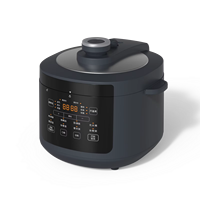 Cuisinière à pression électrique numérique multifonctionnelle de 5 L, bien conçue, avec réglages ajustables et cuve antiadhésive pour la maison