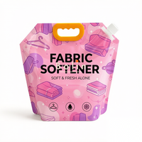 Pochettes souples transparentes personnalisables avec bec verseur pour liquides, recyclables, 4L 5L, pour boissons, traiteur, eau, sauces, condiments, lait, coca