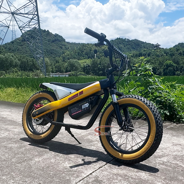 Long Range Electric Cycle Electric Fat Tire City Bike for Adult Ebike Leisure Ebike for City Commuter Folding Electric Bicycle