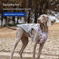 Gilet rafraîchissant pour animaux de compagnie en gros – Idéal pour les sorties en extérieur, respirant, réducteur de chaleur, style minimaliste moderne, en polyester