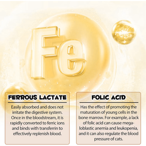 หยดเหล็กเหลวสำหรับสุนัข-อาหารเสริมโฟเลตช่วยสนับสนุนระบบภูมิคุ้มกันระดับพลังงานพลังรสคาราเมล2 fl.oz เร็ว - Product Image 3