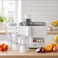 OEM 4-in-1 Elektrische Voedselprocessor Blender RVS Fruitpers Vleesmolen Smoothie Maker Grote Capaciteit