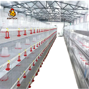 Cages pour poules pondeuses, équipement d'élevage avicole, cages automatiques de type H pour poules pondeuses, élevage en batterie, coop automatique - Product Image 1