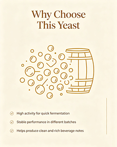 Levain sec actif premium pour la fermentation du vin, <span class=keywords><strong>de</strong></span> la bière et du cidre - Product Image 3