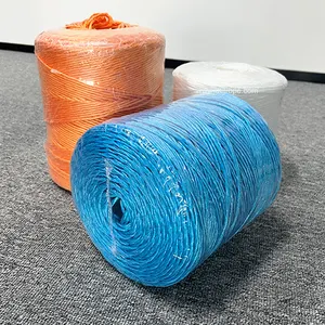 Hot bán nông nghiệp đóng gói Baler twine PP twine với chiều dài tùy chỉnh nhà kính đóng gói PP Baler twine