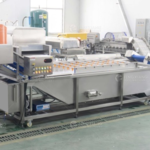 Machine à laver industrielle à bulles d'air pour légumes et fruits WA-U-3000, machine à laver les mangues - Product Image 6