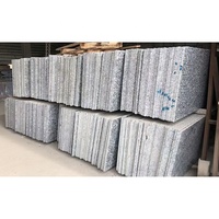 Plaques de granit en pierre naturelle blanche pour comptoir de cuisine, sol en marbre, pavage, vente en gros