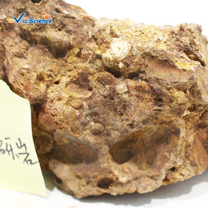 Natural sandstone and conglomerate specimens; gravelly sandy texture; bedding structure; sedimentary rock samples for - Product Image 2